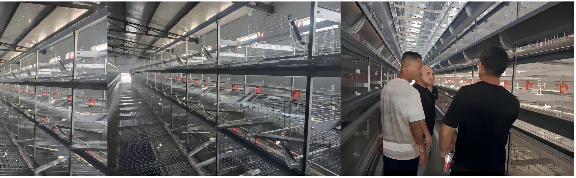 خودکار آپریشنز کے لیے ذہین پولٹری فارمنگ سسٹم