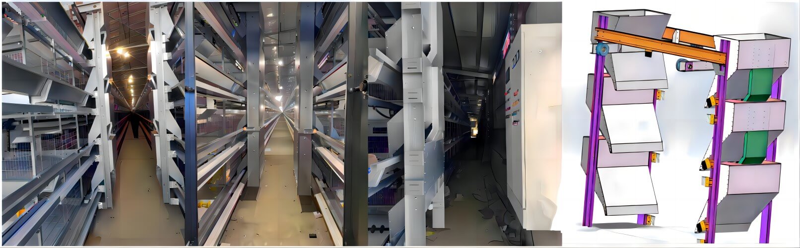 خودکار فیڈنگ، انڈہ کلیکشن، صفائی اور پانی کے نظام