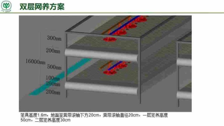 ٹرنکی پولٹری فارمنگ سسٹمز: انکیوبیشن، انڈہ گریڈنگ، کیج ریئرنگ اور تعمیر