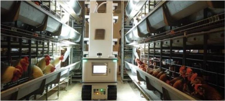 اپنی ضروریات کے مطابق پولٹری اور مویشیوں کے حل دریافت کریں — تیز رفتار اور بغیر کسی جھنجھٹ کے