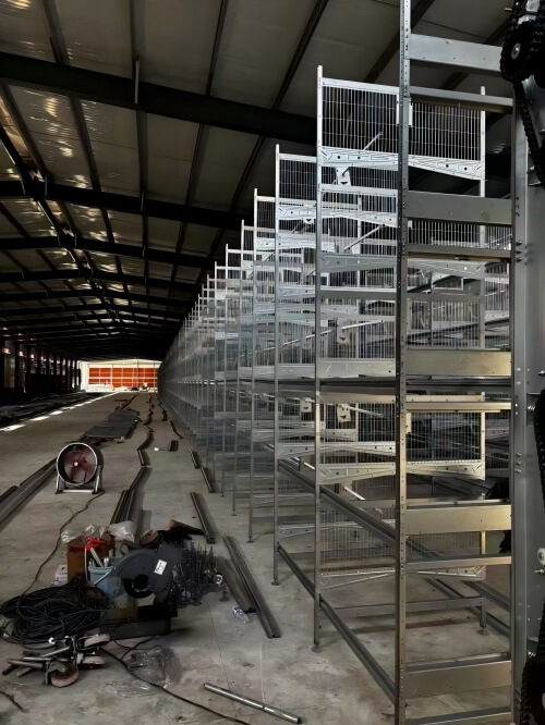 स्वचालित पोल्ट्री फार्म समाधान | एकीकृत अंडा ग्रेडिंग और पैकिंग