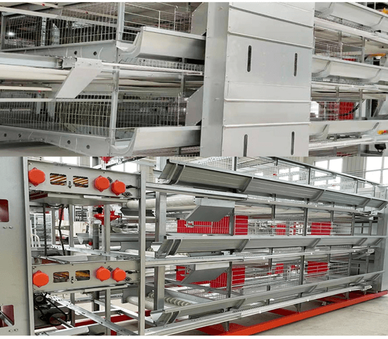 बिक्री के लिए बुद्धिमान स्वचालित पोल्ट्री पिंजरा प्रणालियाँ खरीदें