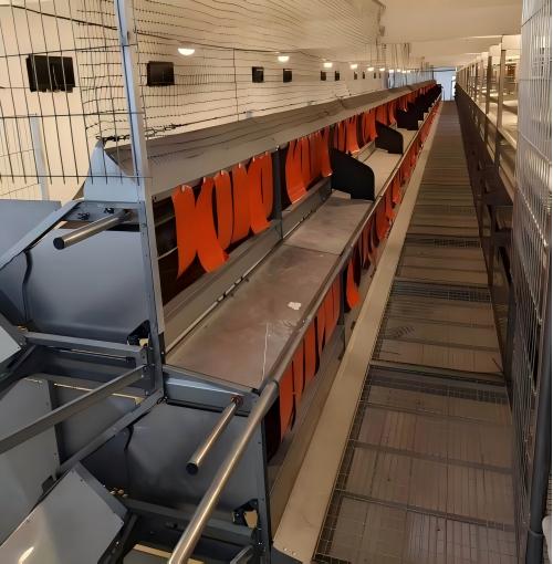 श्रम लागत बहुत अधिक है और पोल्ट्री फ़ार्मों की संख्या इतनी ज़्यादा है कि हाथ से खिलाना और गोबर की सफाई करना बिल्कुल भी संभव नहीं रह गया है।