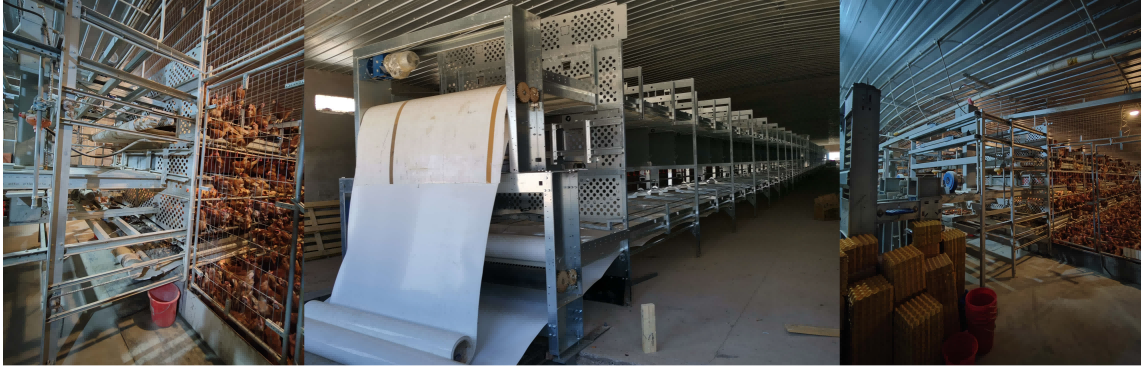 कारखाने से सीधी आपूर्ति किए जाने वाले यूरोपीय लेयर पोल्ट्री उपकरण और ईयू‑निर्यात मानकों के अनुरूप पोल्ट्री उपकरण, विश्वभर के अंडा‑मुर्गी फार्म आपूर्तिकर्ताओं और पोल्ट्री उपकरण ट्रेडिंग कंपनियों की सेवा के लिए, परियोजना डिजाइन से लेकर इंस्टॉलेशन, कमीशनिंग और दीर्घकालिक आफ्टर‑सेल्स सेवा तक पूर्ण समर्थन प्रदान करते हैं।